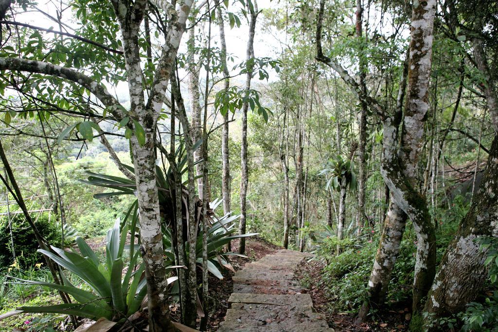 Aroso Paco Hotel Pedra Azul  Exterior foto A trail in the park
